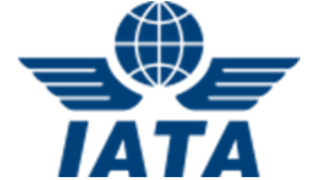 untitled design (13)